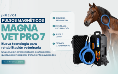 E-VET -CONOCE LA MAGNA VET